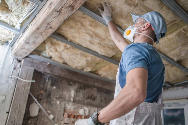 Best Residential Insulation in Englewood Cliffs, NJ
